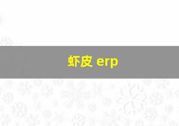 虾皮 erp